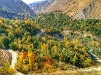 Fall in Shahandasht

