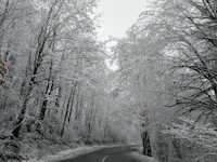 Kodir in Winter
