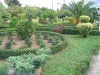 A garden in Chaloos
