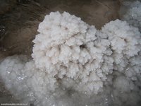 Salt Crystals (Lake Orumieh)

