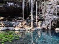 Cenote X'Batun
