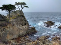 Lone Cypress, Monterey
