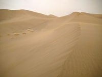 Desert sand dunes, Bafgh
